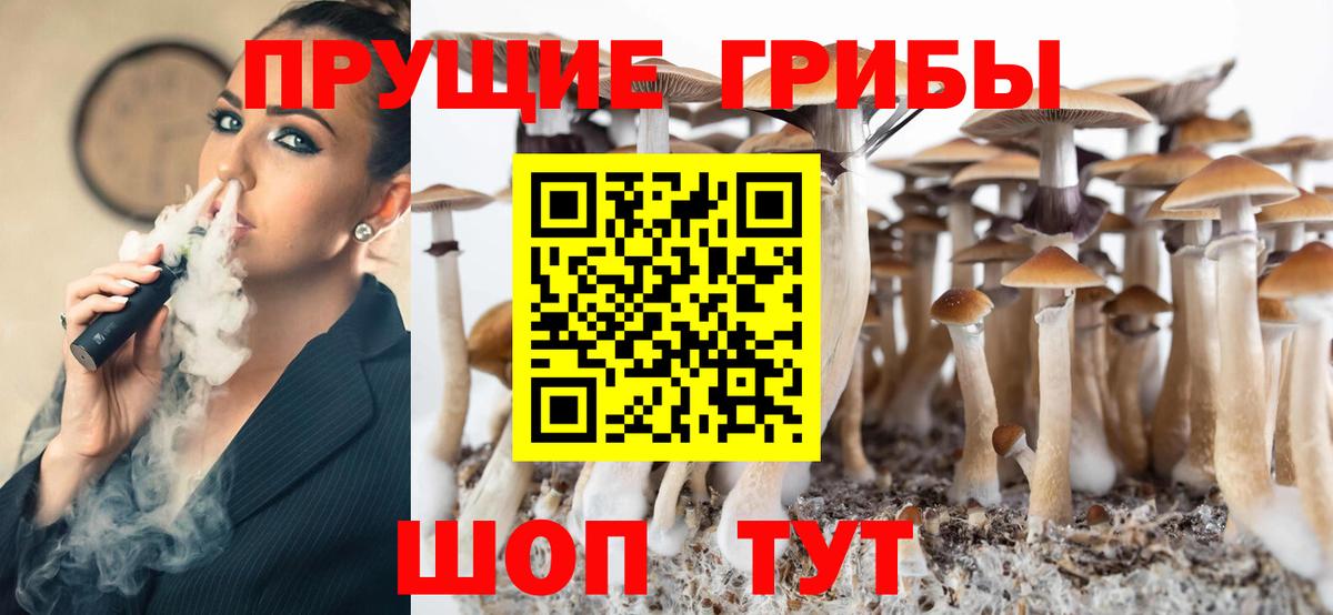 Псилоцибиновые грибы мухоморы Москва