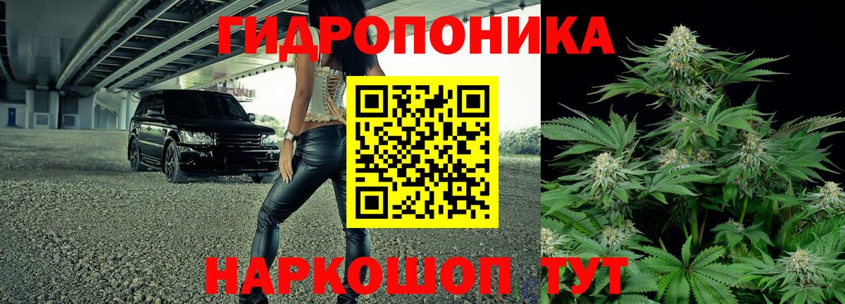 Шишки марихуана сатива Москва